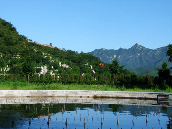 天山(shān)陵園